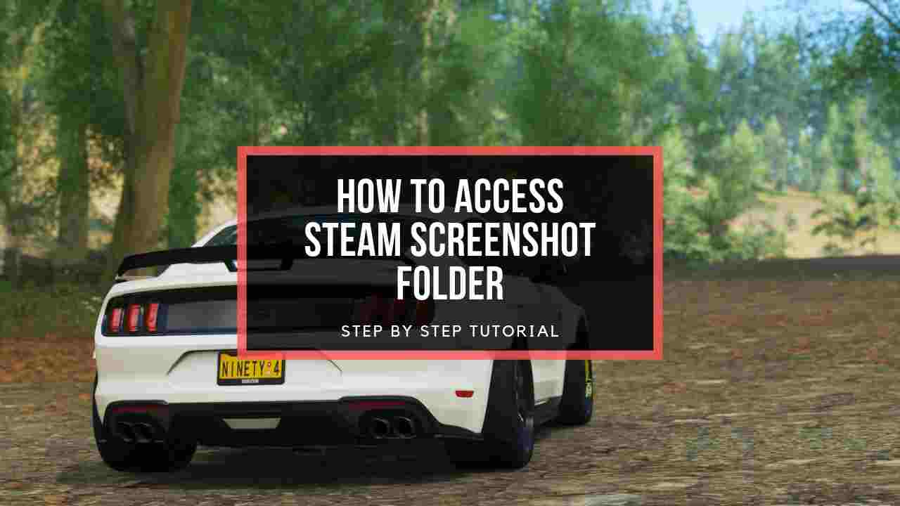 access-steam-screenshot-folder