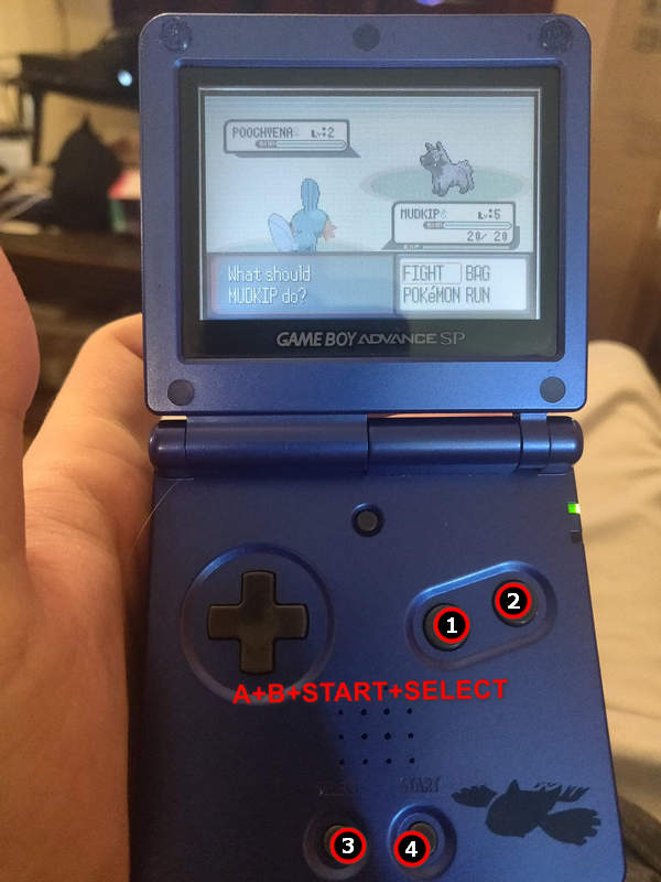 gameboy-soft-reset-pokemon