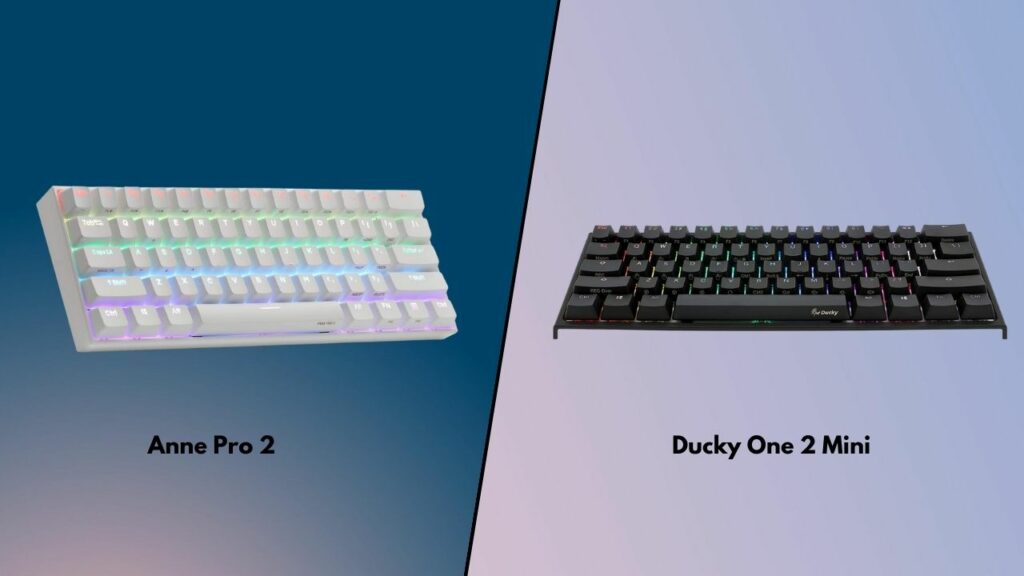 ducky anne pro