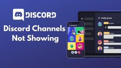 discord-channels-not-showing