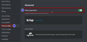 Ошибка активации krisp discord