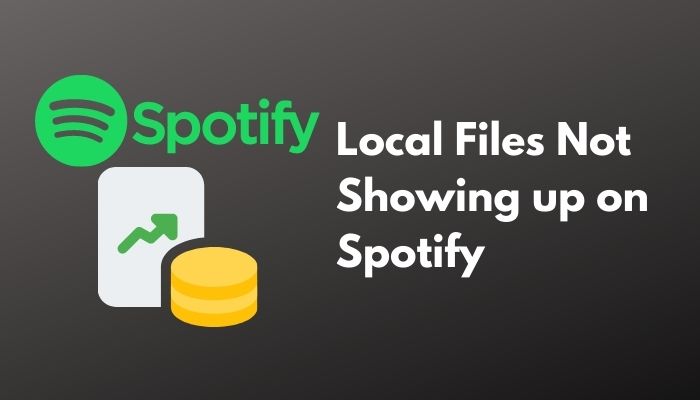 Local Files Not Showing up on Spotify [Working Solutions]