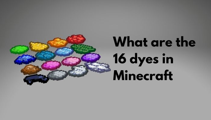 what-are-the-16-dyes-in-minecraft