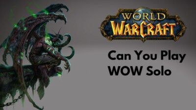 can-you-play-wow-solo
