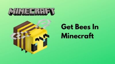 get-bees-in-minecraft