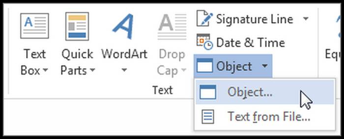 ms-word-object