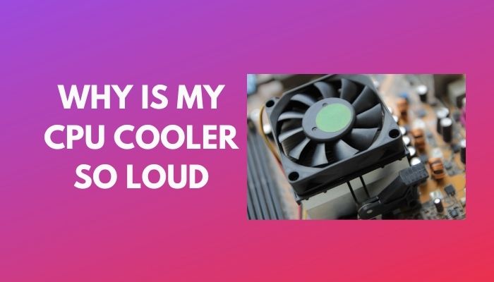 Why Is My CPU Cooler So Loud 4 Easy Fixes That Work 