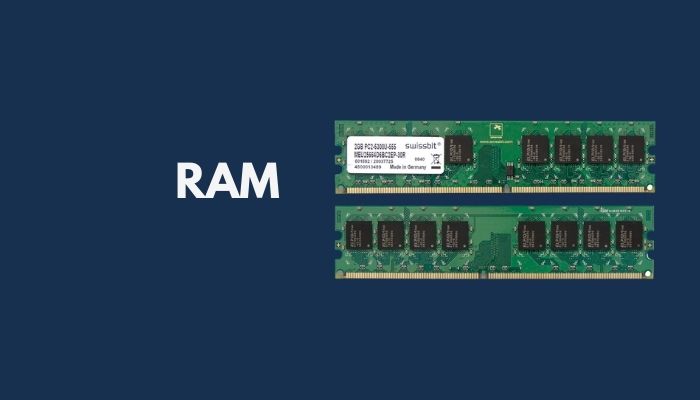 ram