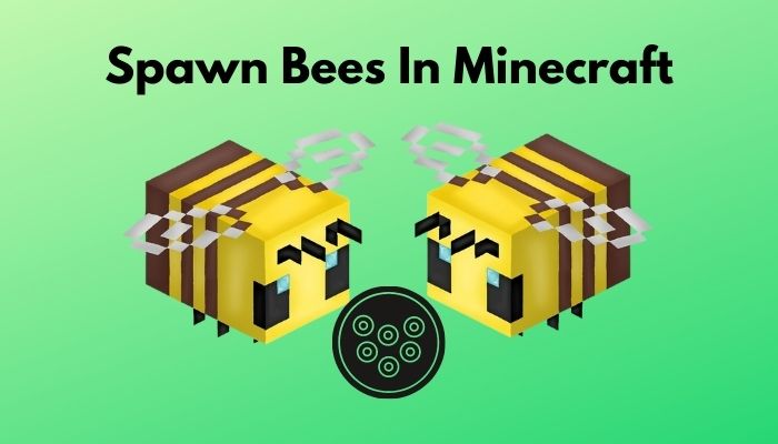 spawn-bees-in-minecraft