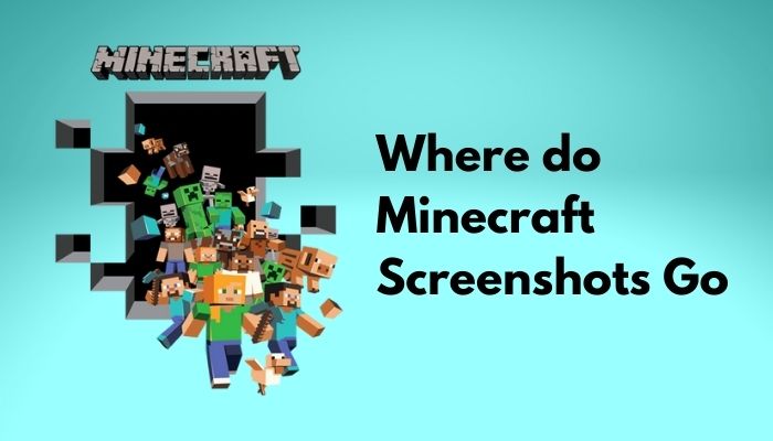 where-do-minecraft-screenshots-go