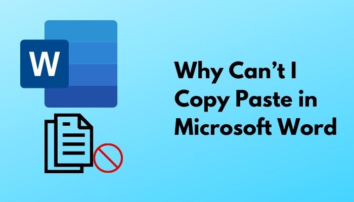 why-can-t-i-copy-and-paste-in-microsoft-word-solved-2024