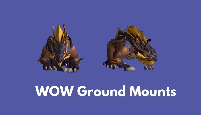 wow mounts with 100 drop rate