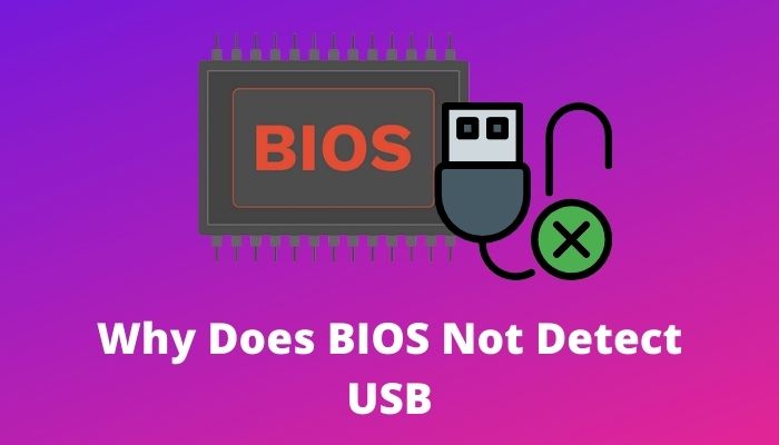 does-bios-not-detect-usb