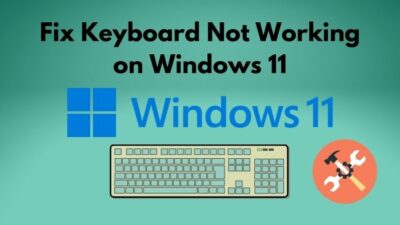 how-to-fix-keyboard-not-working-on-windows 11