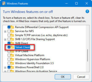 How To Enable Telnet On Windows 11 [Tested Methods]