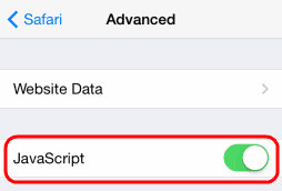 safari-iOS-JavaScript-setting
