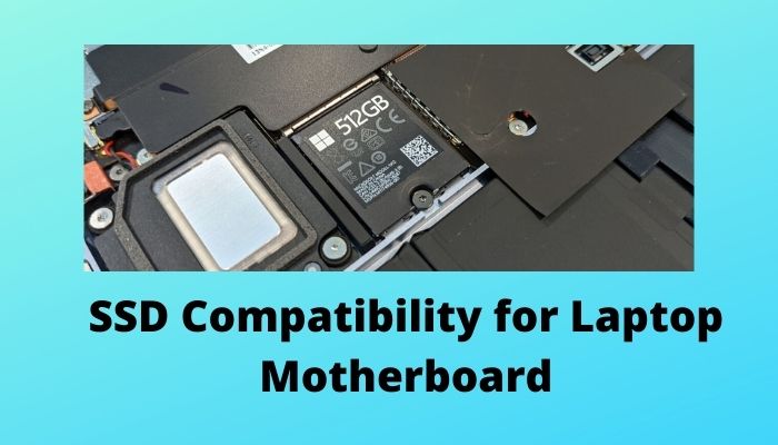 Is Ssd Compatible With All Motherboards Read To Find Out 2024 6009