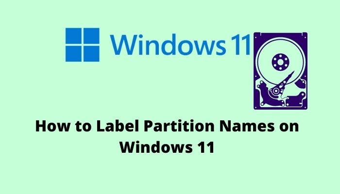 label-partition-names-on-windows-11