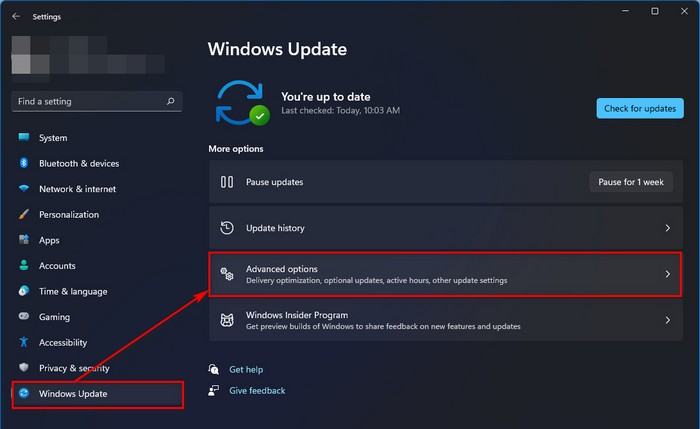 windows-11-update-advance-option