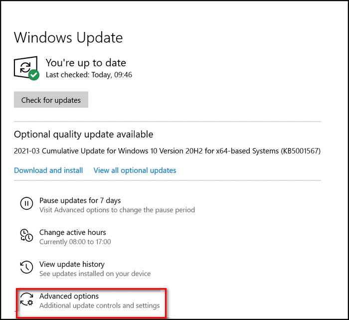 windows-update-advanced-option
