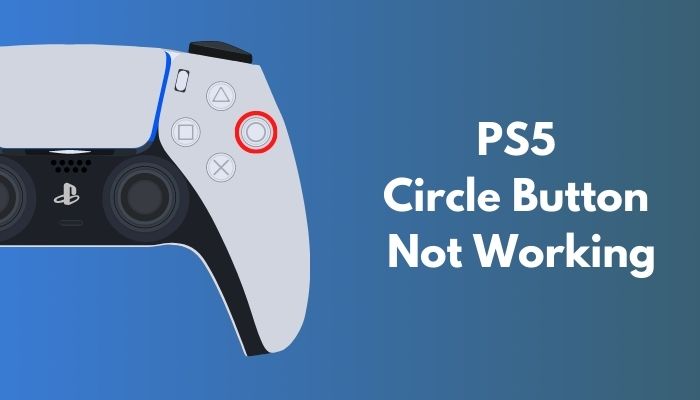 PS5 Circle Button Not Working 4 Working Solutions 2024 