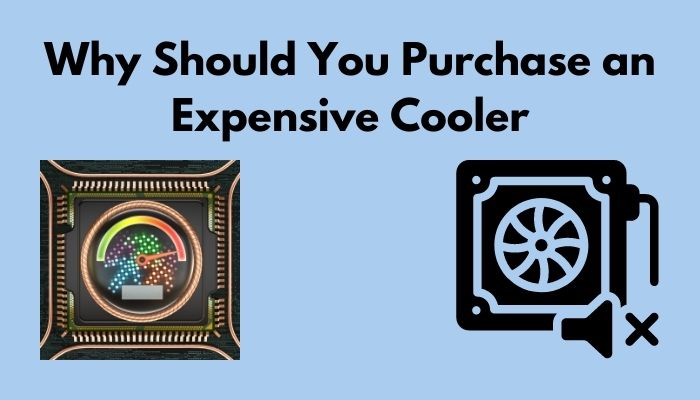 why-should-you-purchase-an-expensive-cooler