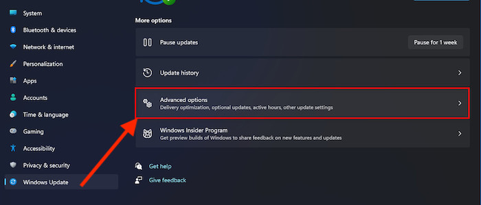 advanced-options-windows-update
