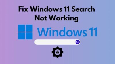 fix-windows-11-search-not-working