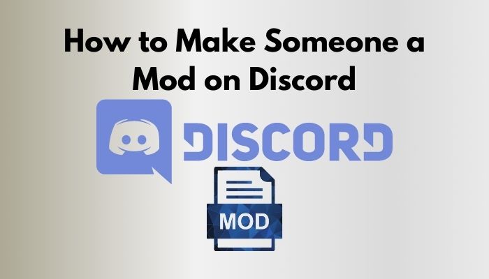 How to Make Someone a Mod on Discord [Ultimate Guide 2022]