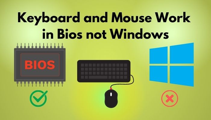keyboard-and-mouse-work-in-bios-not-windows
