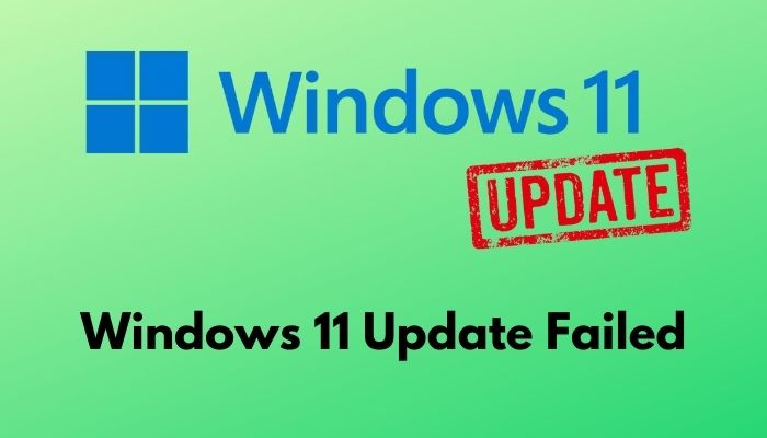 Fix Windows 11 Update Failed [Easy Guide 2024]