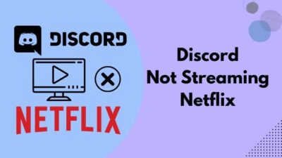 discord-not-streaming-netflix