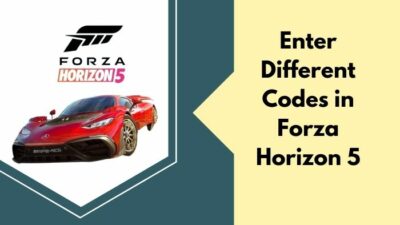 enter-different-codes-in-forza-horizon-5