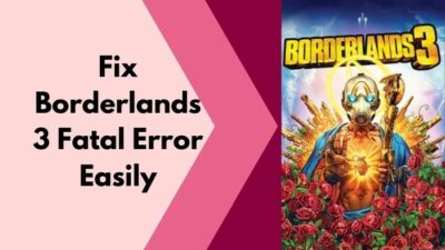 fix-borderlands-3-fatal-error-easily