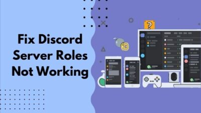 fix-discord-server-roles-not-working