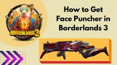 how-to-get-face-puncher-in-borderlands-3