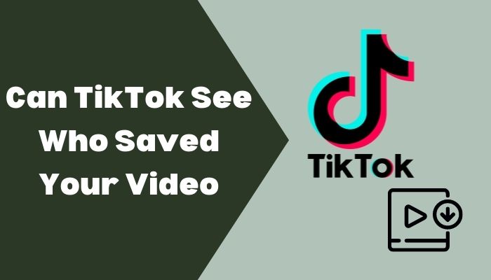 How to See Who Saved Your Tiktok 