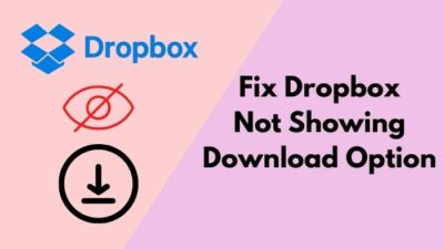 fix-dropbox-not-showing-download-option