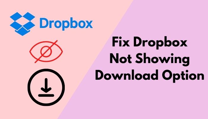 fix-dropbox-not-showing-download-option