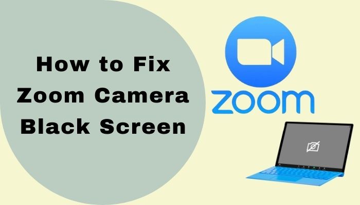 zoom video black screen