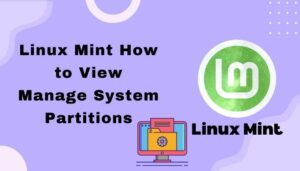 Linux Mint: How to View Manage System Partitions [Guide 2024]