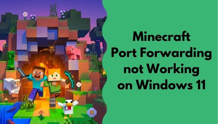 minecraft-port-forwarding-not-working-on-windows-11