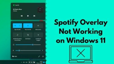 spotify-overlay-not-working-on-windows-11
