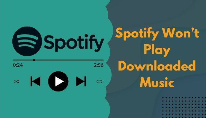 Spotify Won’t Play Downloaded Music [6 Proven Solutions 2023]