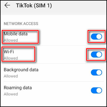tiktok-app-data-wifi