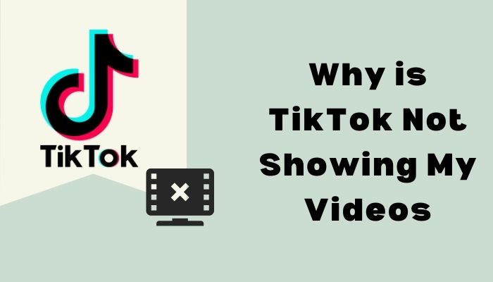 why-is-tiktok-not-showing-my-videos