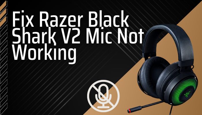 Temerity Antipoison Vul in Fix Razer Black Shark V2 Mic Not Working [Tested Solutions]