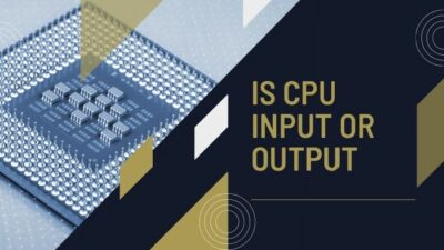 is-cpu-input-or-output