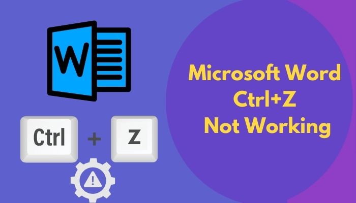 microsoft-word-ctrl-z-not-working