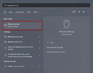6 Ways To Fix Mouse Cursor Disappears On Windows 11 [2024]